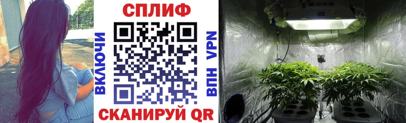 Марихуана семена  shop Telegram  Кирсанов 